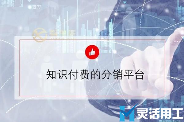 课程分销平台灵活用工哪个靠谱(课程分销代理平台哪个好)