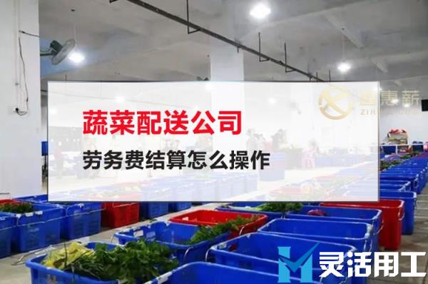 蔬菜配送公司劳务费结算怎么操作(劳务费在个税系统里怎么操作)