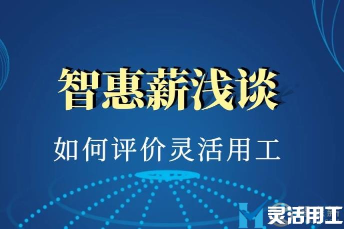 如何评价灵活用工这一新兴用工模式(新兴农业模式)